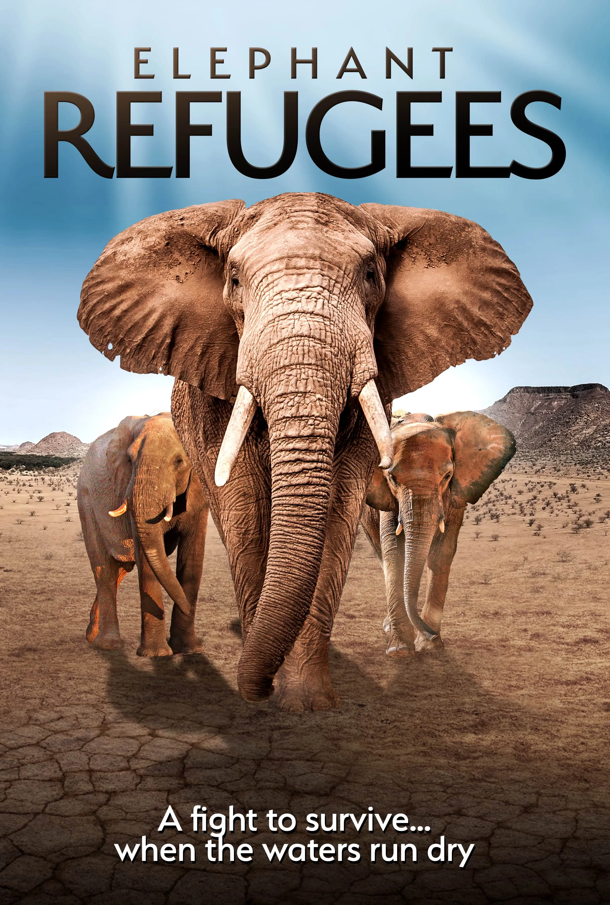     Elephant Refugees